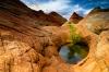 Pool of Provision- Painted Desert, AZ by Shane McDermott