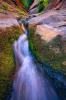 Canyon Rush- West Fork, Sedona by Shane McDermott