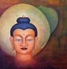Bodhi Insight by Sherab (Shey) Khandro